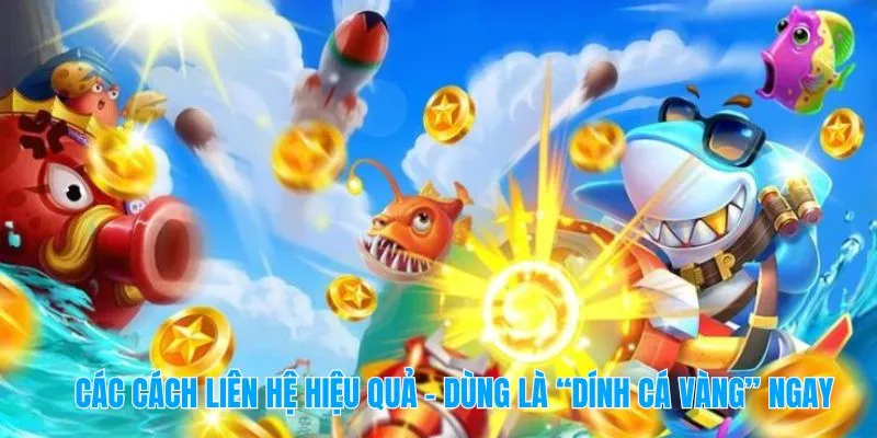 Các cách liên hệ hiệu quả – Dùng là “dính cá vàng” ngay