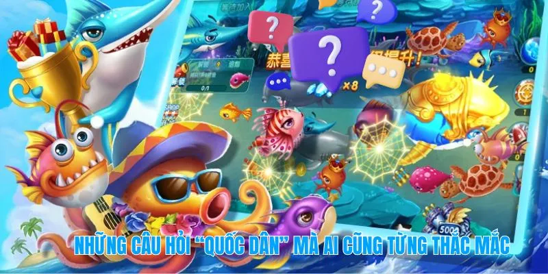 Những câu hỏi “quốc dân” mà ai cũng từng thắc mắc